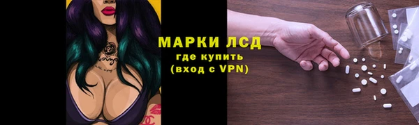 ГАЛЛЮЦИНОГЕННЫЕ ГРИБЫ Алзамай